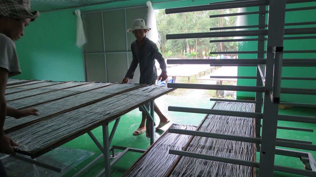 Máy sấy miến dong - bún tàu