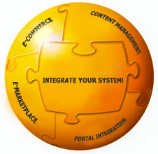 Tích hợp hệ thống công nghệ thông tin