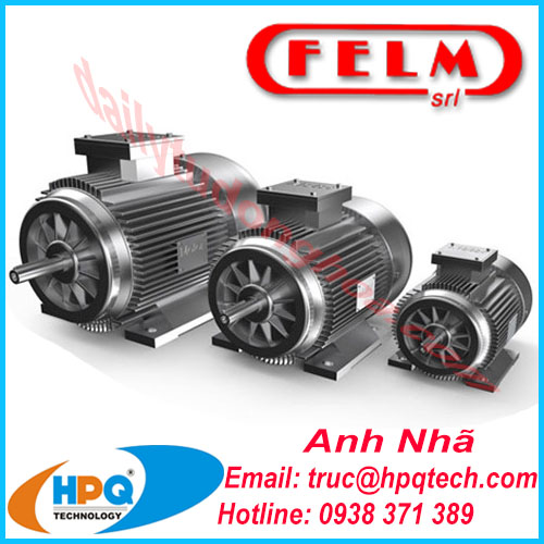Nhà cung cấp động cơ Felm chính hãng
