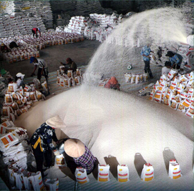 Ðầu tư công nghệ nâng cao giá trị gia tăng lúa, gạo