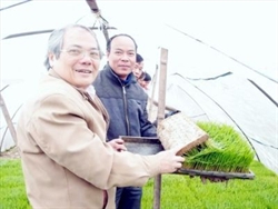 Công nghệ giá thể mạ khay sản xuất từ rơm rạ và đất