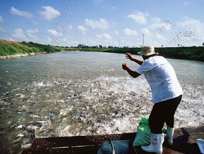 Ứng dụng công nghệ sinh học trong công nghiệp chế biến