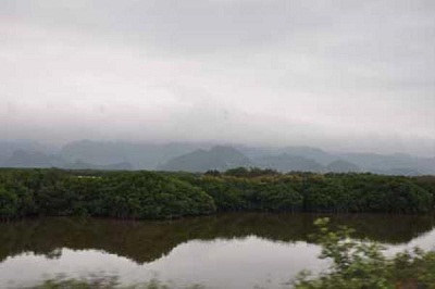 Hải Phòng phòng chống hiện tượng nhiễm mặn khu vực ven biển