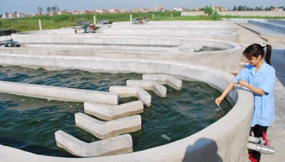 Khu nuôi trồng tảo xoán