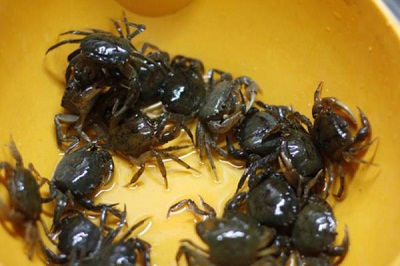 Huyện Tiên Lãng tập huấn kỹ thuật xây dựng mô hình nuôi cua đồng thương phẩm