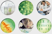 Khai mạc Hội chợ Quốc tê Analytica Vietnam 2013