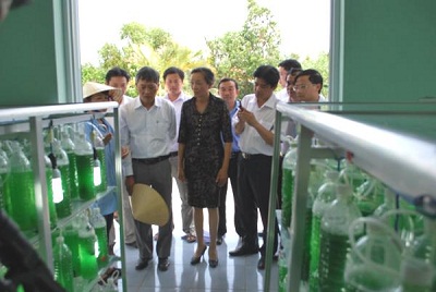 Xây dựng thành công mô hình nuôi trồng, chế biến tảo xoắn 15 – 20 tấn/năm