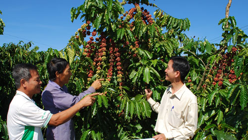 Tăng sức bật cho sản phẩm chủ lực