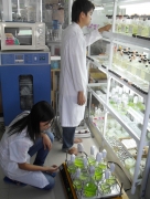 Vi sinh vật giúp xử lý ô nhiễm môi trường