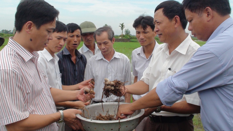 Ứng dụng chế phẩm sinh học xử lý phế, phụ phẩm nông nghiệp và xử lý giảm thiểu ô nhiễm môi trường